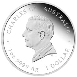 Stříbrná mince 1 Oz One Love 2026 Proof