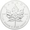 Stříbrná mince 1 Oz Maple Leaf 1989