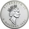 Stříbrná mince 1 Oz Maple Leaf 1995