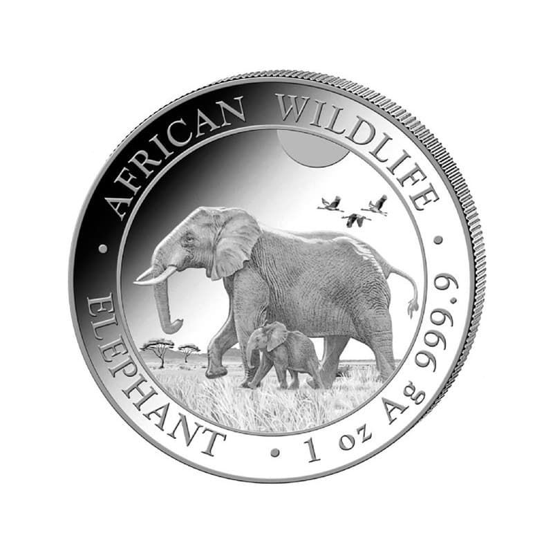 Stříbrná mince 1 Oz African Wildlife Elephant 2022