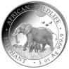 Stříbrná mince 1 Oz African Wildlife Elephant 2022