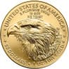 Zlatá mince 1 Oz American Eagle 2026