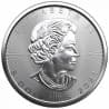 Stříbrná mince 1 Oz Maple Leaf 2021