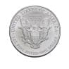 Stříbrná mince 1 Oz American Eagle 2007