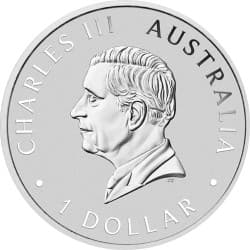 Stříbrná mince 1 Oz Kookaburra 2024