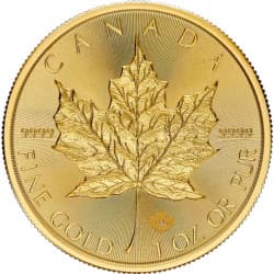 Zlatá mince 1 Oz Maple Leaf 2025