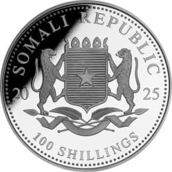 Stříbrná mince 1 Oz African Wildlife Leopard 2025 Kolorovaná