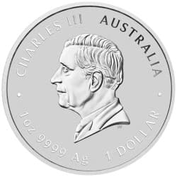 Stříbrná mince 1 Oz Lunar Series III Year of the Snake 2025 Kolorovaná