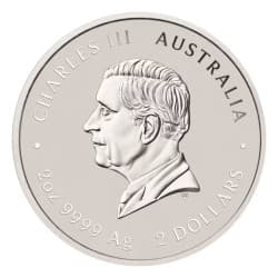 Stříbrná mince 2 Oz Lunar Series III Year of the Snake 2025 Kolorovaná