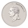 Stříbrná mince 1 Kg Lunar Series III Year of the Snake 2025 Kolorovaná