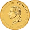 Zlatá mince 1 Oz Lunar Series III Year of the Horse 2026