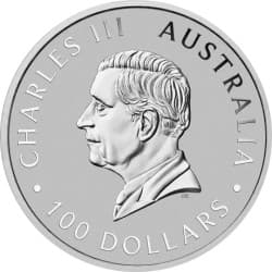 Platinová mince 1 Oz Kangaroo 2026